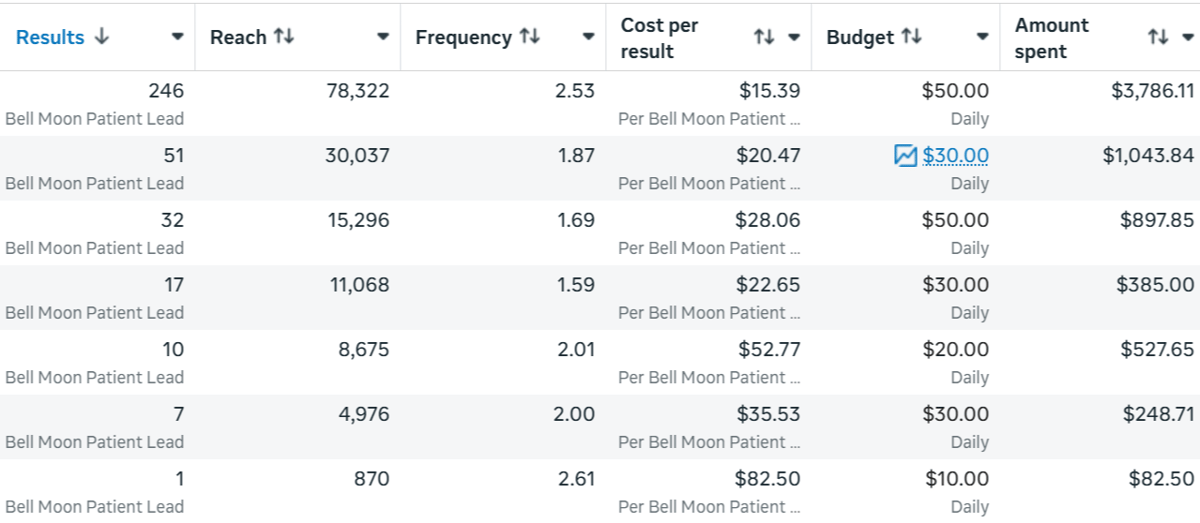 Meta Ads results - Bell Moon Clinic